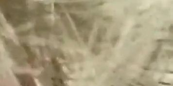 Girl eats boyfriend's cumout of her best friends pussy