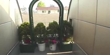 public blowjob 2