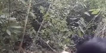 Outdoor Assamese Sex MMS Of A Couple From A Jungle