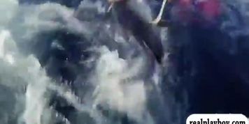 Hot babes deep sea fishing while naked and drive tanks