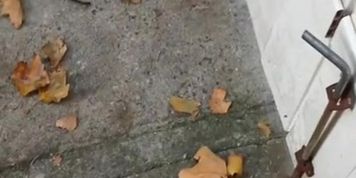 Outdoor wank