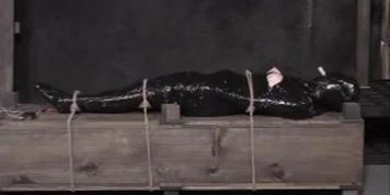 Insex yx24hlf3final3dsl