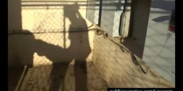 Brunette Public Fucking