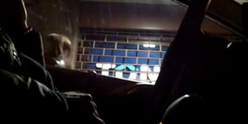 Flashing Cock From The Car