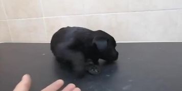 u&ntilde;&ntilde;kjlh