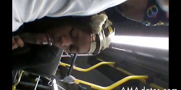 Brain on the bus