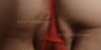 perfect for creampies ? by thel1ttlestbunny from OnlyFans | Coomer