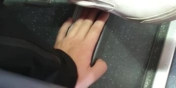 candid hand trample bus