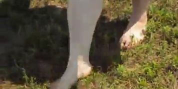 Eliza's Dirty Feet