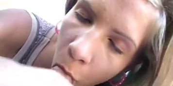car swallow