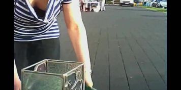 Wolter's Downblouse Bitch 307