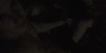 ??????? ??? ?????? ?????