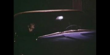 Estranged Daughter (USA 1982, Lisa Deleeuw, Sharon Mitchell) (Lisa De Leeuw)
