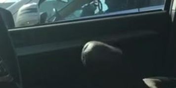 Car Flash Milf