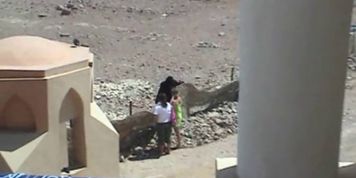 Young Amateur Couple Fucking In Saudi Arabia