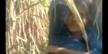 Indian Recent Vial Mms Video (IndianSexVideo)