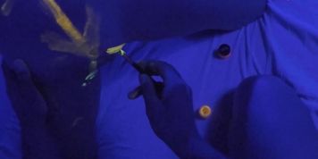 Uv Light fun & messy color fuck | Full version (DirtyTina)