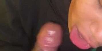Big Lip Mexican Swallows BBC 