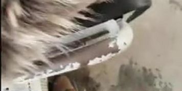 Cum Back On Bus 2