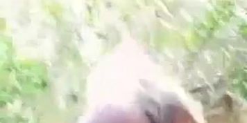 Dani + pronebone