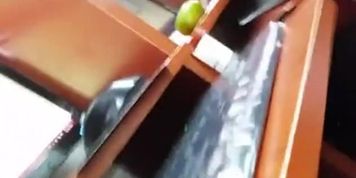bogota flashing cock and cum