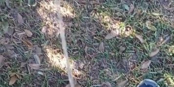 Risky Public Pissing Nonstop