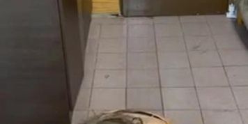 wandapotts69 blowjob