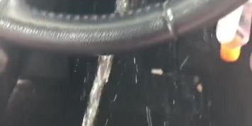 Car pee #10