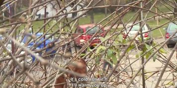 Czech Experiment Young Girl asking guy for SEX on Street