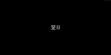 Q6554241214055