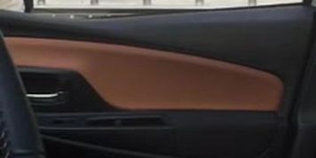 car flash milf