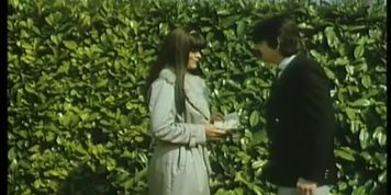 Une Epouse a tout faire (1980)