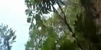Desi sex