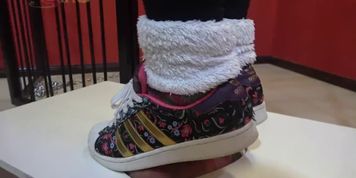 Adidas Superstar & Stan Smith Worship. Sneakers . Hard Trample.