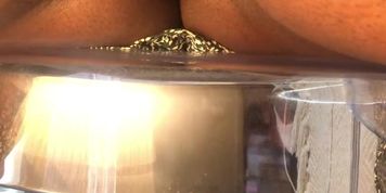 Wet Pussy Kirsty