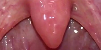 Snezana Inside