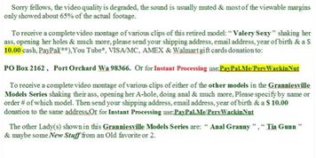 13th Web Cam Models of Granniesville (Promo Series)