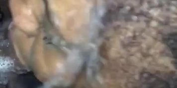 Black bbw sucking cock 