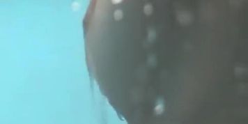 Newest , Amateur,  Movie Just For You