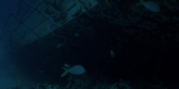 Piranha 2 the spawning