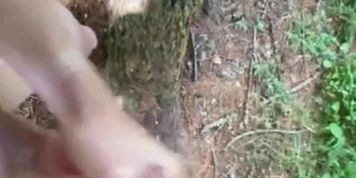 The first time in the nature 