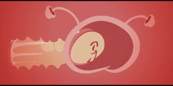 Toon it up PMV