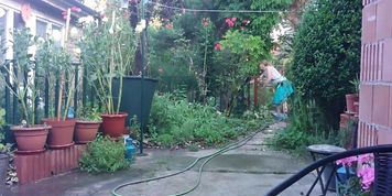 Yesterday Evening - watering the garden