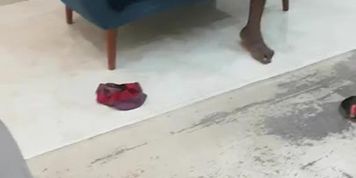 hardcore sex in fuckourpornstars &ndash; Africa
