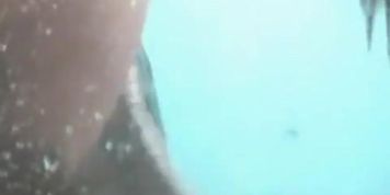 Spy Beach, Voyeur, Russian Clip Show
