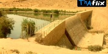 Netta Garti Bush Scene  in Turn Left At The End Of The World