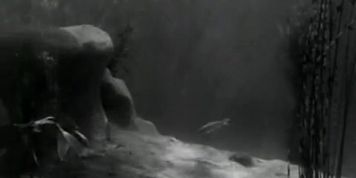 Maureen O'Sullivan Breasts,  Butt Scene  in Tarzan And His Mate (Andreas)