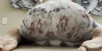 Big Ass Pillow Humpin