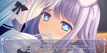 Youkadou Sakuri - 02