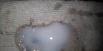 I cum on stepsister's white adidas  socks (white socks)